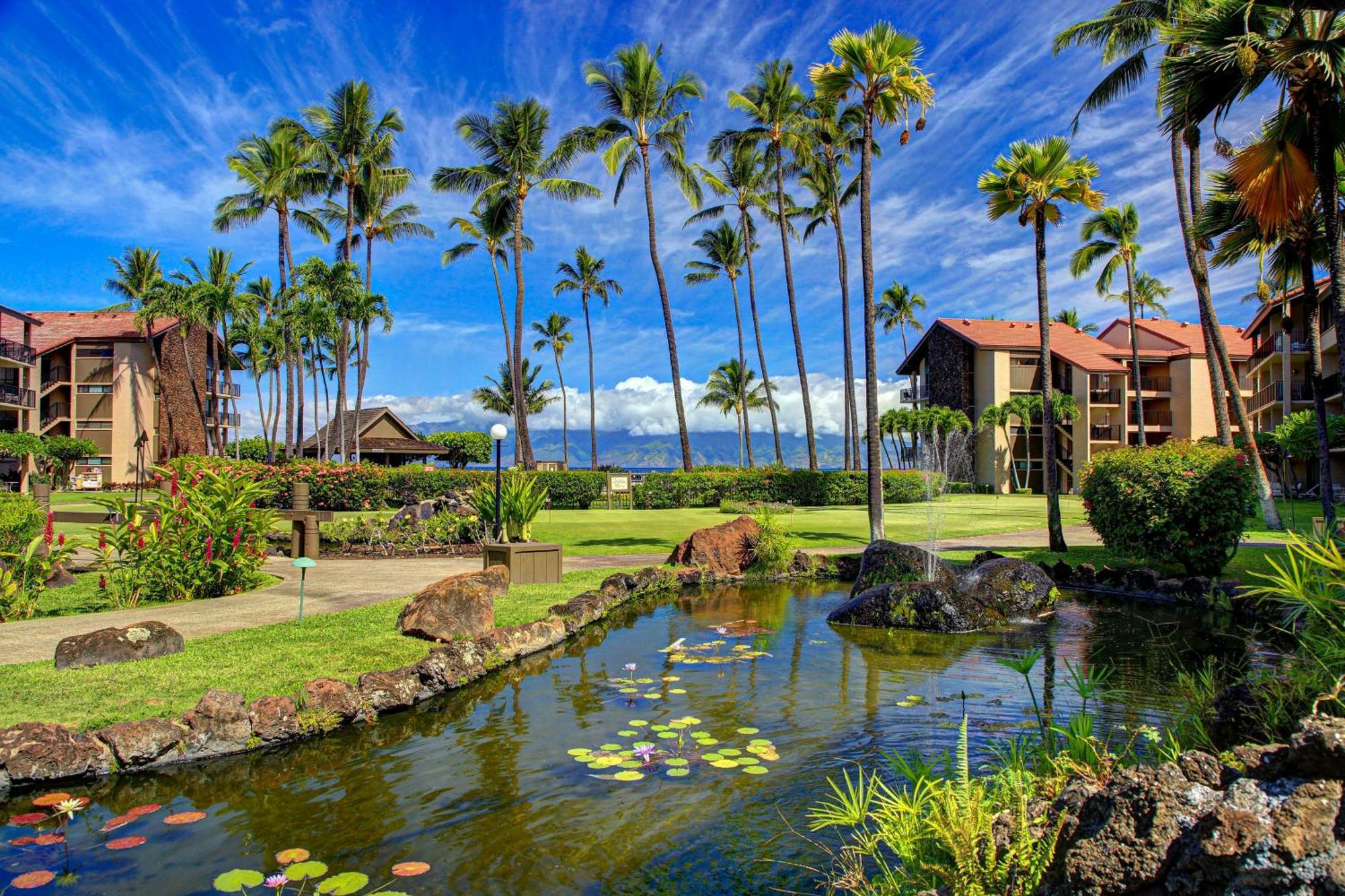 Papakea Resort Napili-Honokowai Номер фото